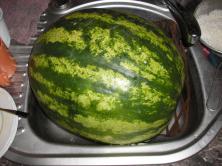Mega melón, čo sa ledva vošiel do drezu