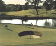 A smaller golf hole