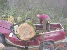 Inattentive loggers